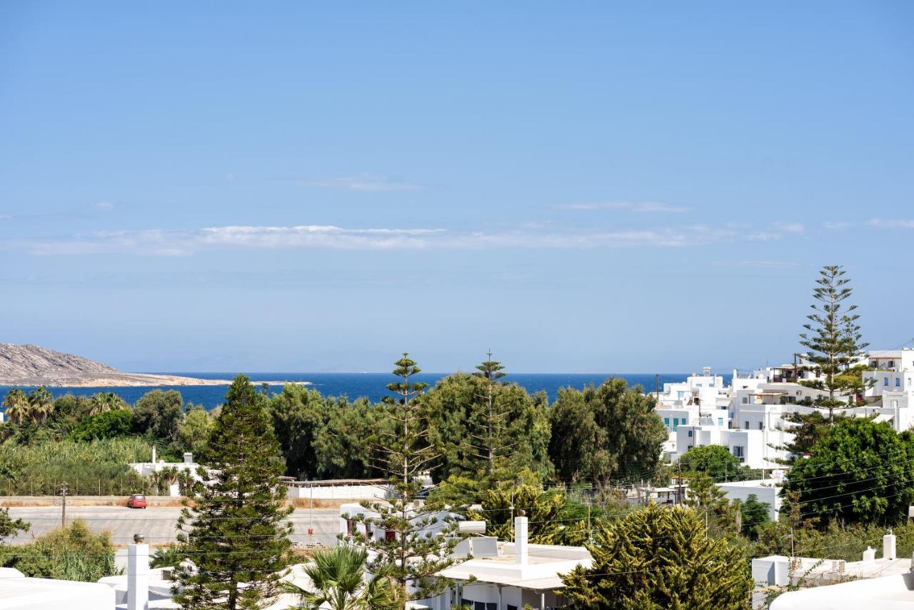 Hara'S Villa In Naousa , Paros Dış mekan fotoğraf